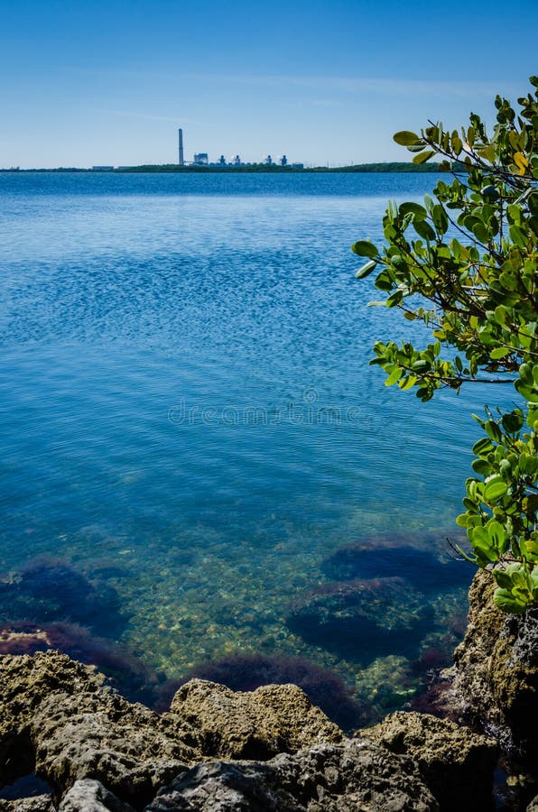 Biscayne fjärd - den Biscayne nationalparken - Florida royaltyfri bild Biscayne fjärd - den Biscayne nationalparken - Florida royaltyfri bild