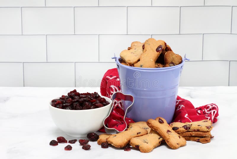 A pail of cranberry dog cookies surrounded with cranberries in a bowl and cookies. A pail of cranberry dog cookies surrounded with cranberries in a bowl and cookies