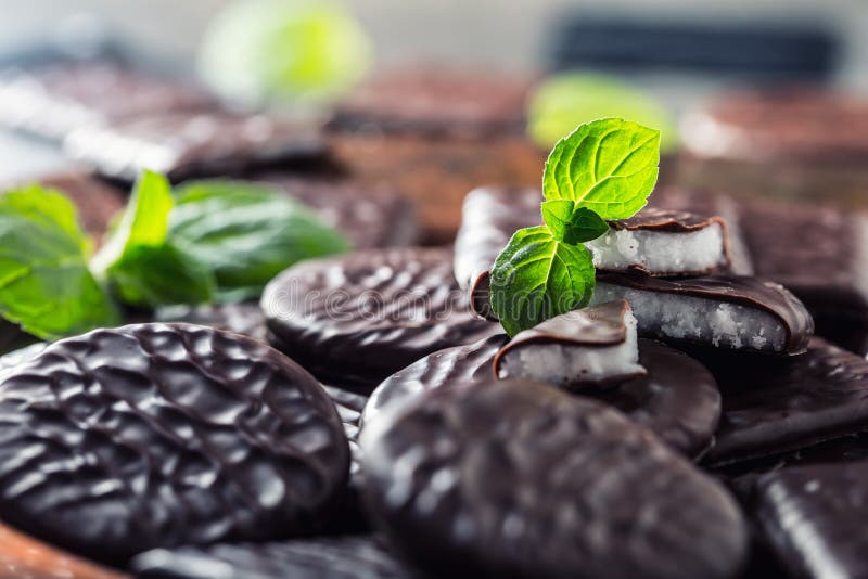 Biscotti della menta piperita del cioccolato Menta peppermint mentolo Cioccolato nero con la crema della menta piperita Cioccolat fotografie stock Biscotti della menta piperita del cioccolato Menta peppermint mentolo Cioccolato nero con la crema della menta piperita Cioccolat fotografie stock