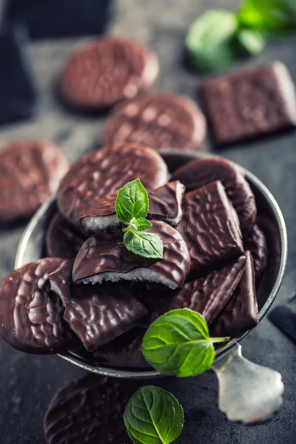 Biscotti della menta piperita del cioccolato Menta peppermint mentolo Cioccolato nero con la crema della menta piperita Cioccolat fotografia stock Biscotti della menta piperita del cioccolato Menta peppermint mentolo Cioccolato nero con la crema della menta piperita Cioccolat fotografia stock