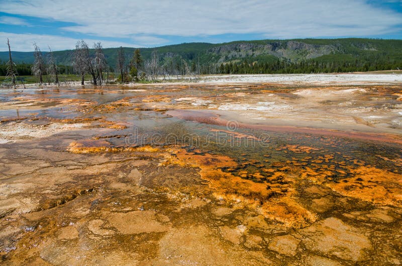 Biscuit Basin, Yellowstone National Park, Wyoming Stock Photo Image