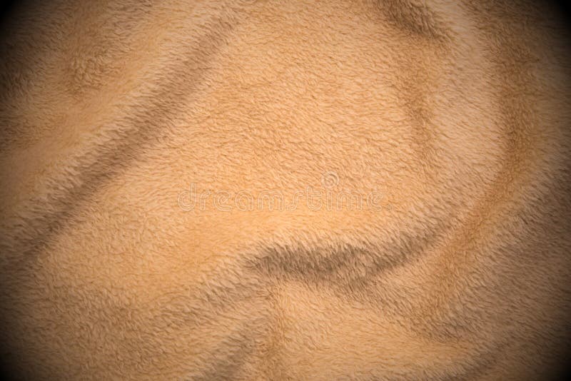 Biscuit Color Sweater Closeup Stock Photo - Image of natural, plait: 37405164 Biscuit Color Sweater Closeup Stock Photo - Image of natural, plait: 37405164