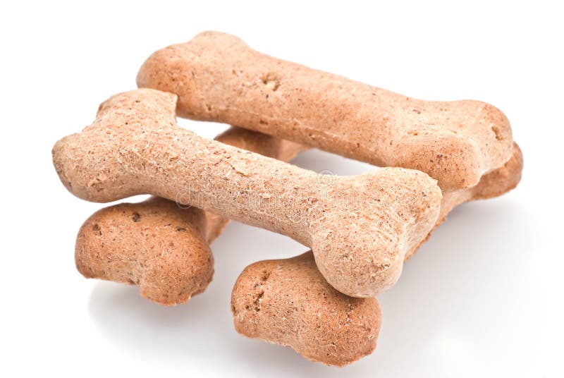 Biscuits dog stock image. Image of titbits, chip, pets 10415177