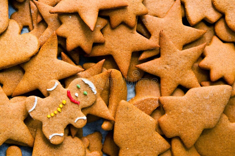 Biscuits faits maison de Noël de pain d'épice Biscuits faits maison de Noël de pain d'épice