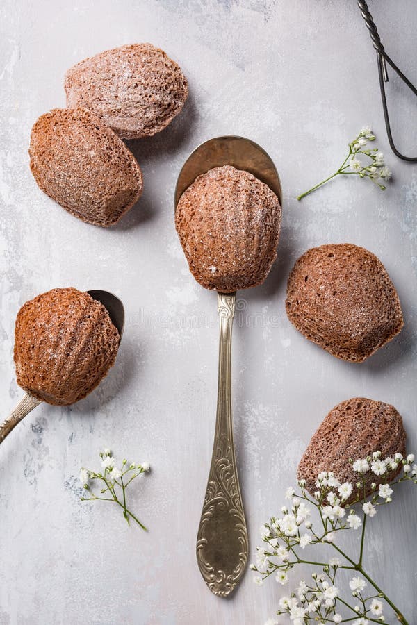 Madeleine Une Pâtisserie Française Douce Et Douce Photo stock