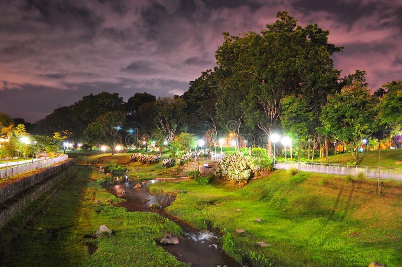 Bishan Park with greenery by night