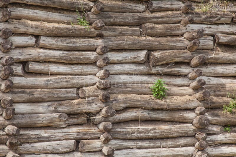 Μπίσκουπιν στοκ φωτογραφία με δικαίωμα ελεύθερης χρήσης
