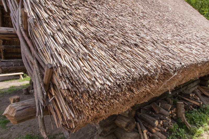 Biskupin στοκ εικόνες