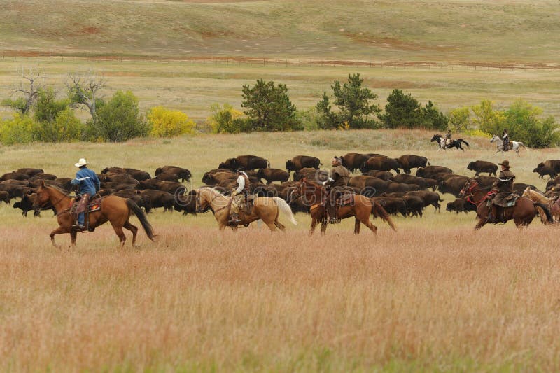 O Vaqueiro Descansa Seu Cavalo Na Frente De Uma Igreja Velha Na área Rural  De New Mexico Fotografia Editorial - Imagem de rancho, rural: 98899507