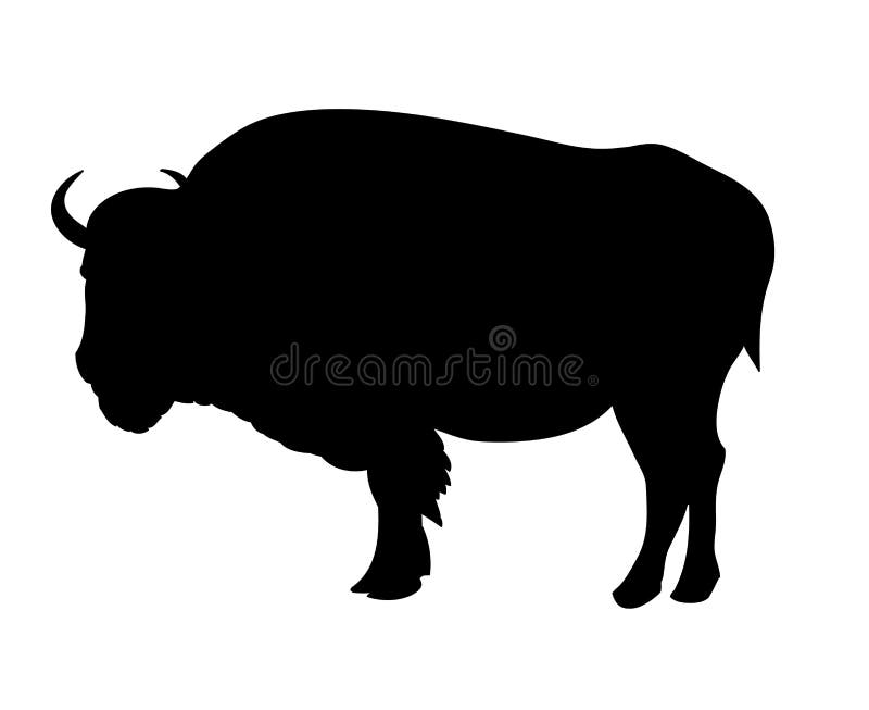 Bisonte ilustração royalty free Bisonte ilustração royalty free