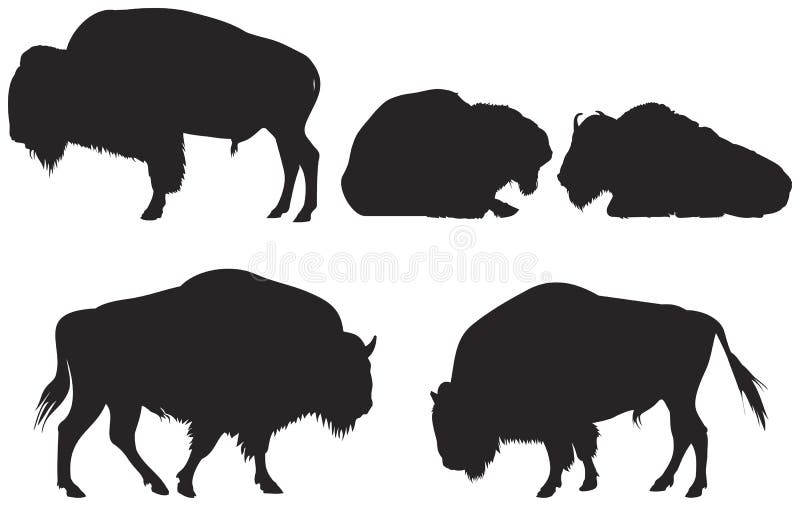 Bisonte ou búfalo ilustração do vetor Bisonte ou búfalo ilustração do vetor
