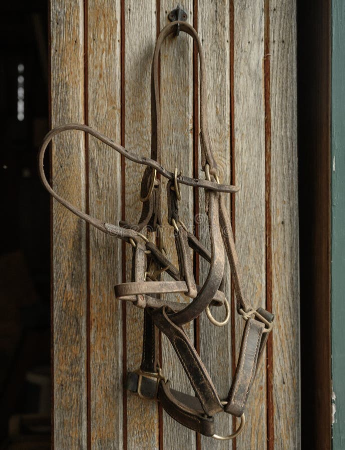 Bits Bridles Hang Wall Stock Photos Free & RoyaltyFree Stock Photos