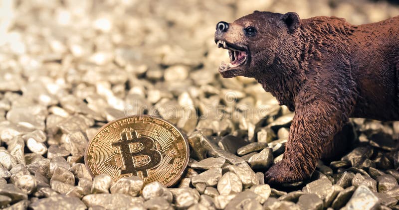 how long did the last crypto bear market last