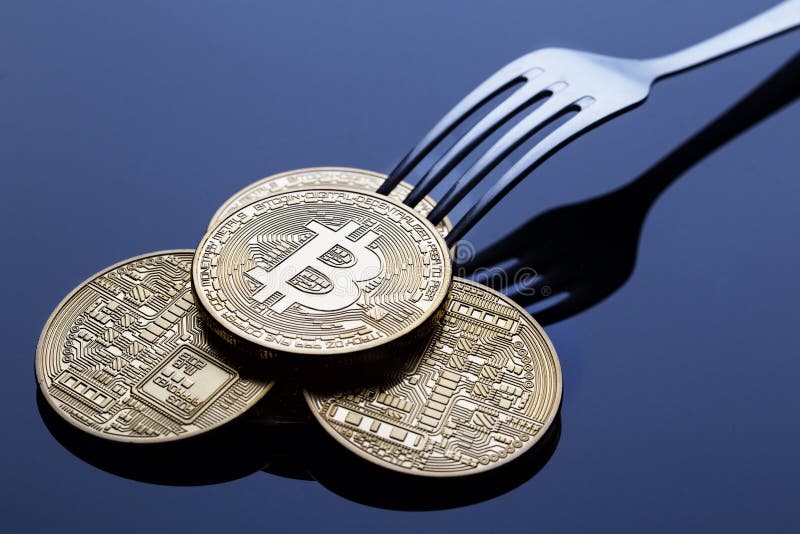 what is fork in crypto