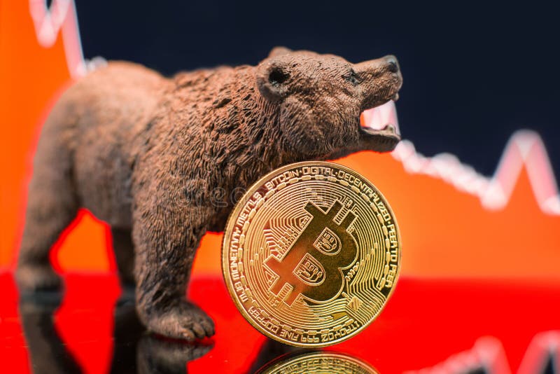 bearish market crypto