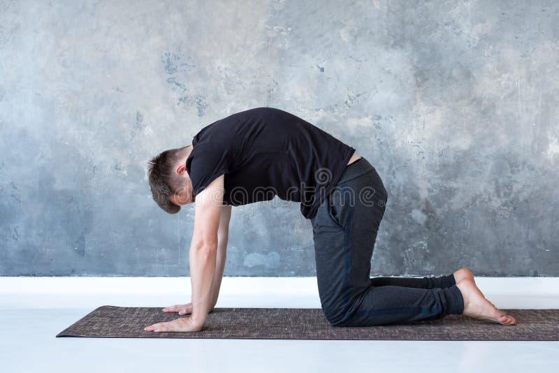 Bitilasana del asana de la yoga de las prácticas de los hombres de la yogui o actitud joven de la vaca del gato imagen de archivo