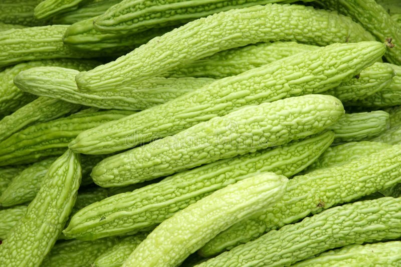Bitter gourd stock photo. Image of bitter, macro, vegetable 20707640