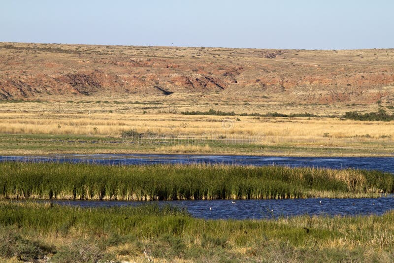 Bitter Lake National Wildlife Refuge Stock Photo Image of water