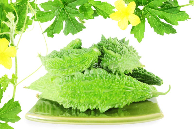 Bitter Melon or Bitter Gourd with Plant Stock Image Image of fiber