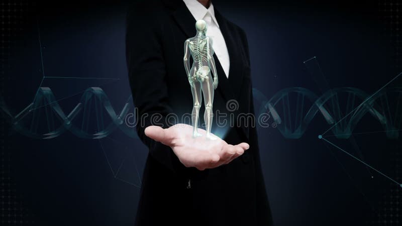 Bizneswoman otwarta palma, Płodozmienna Żeńska Ludzka kośćcowa struktura, kość system, Błękitny promieniowania rentgenowskiego św