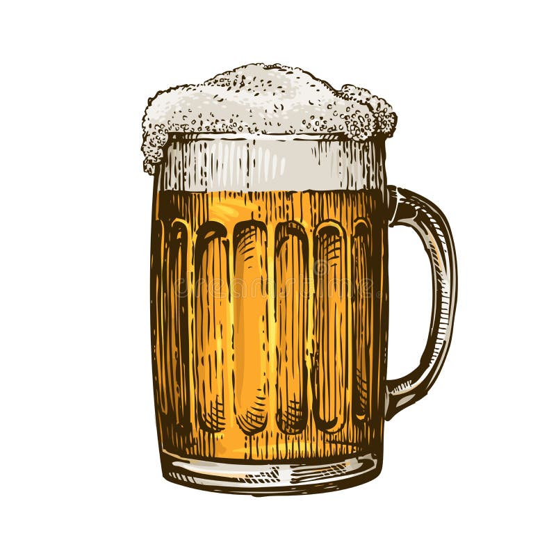 Bière dans la tasse en verre avec la mousse Illustration tirée par la main de vecteur