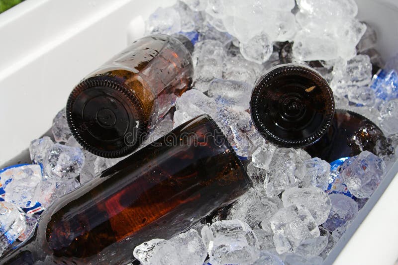 Bière sur la glace images libres de droits
