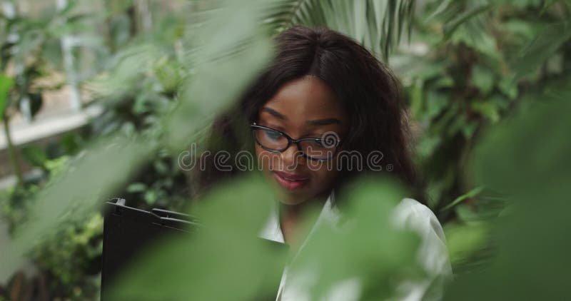 Biólogo o científico afroamericano que trabaja en un jardín botánico. mantiene una planta rara. el concepto de almacen de video