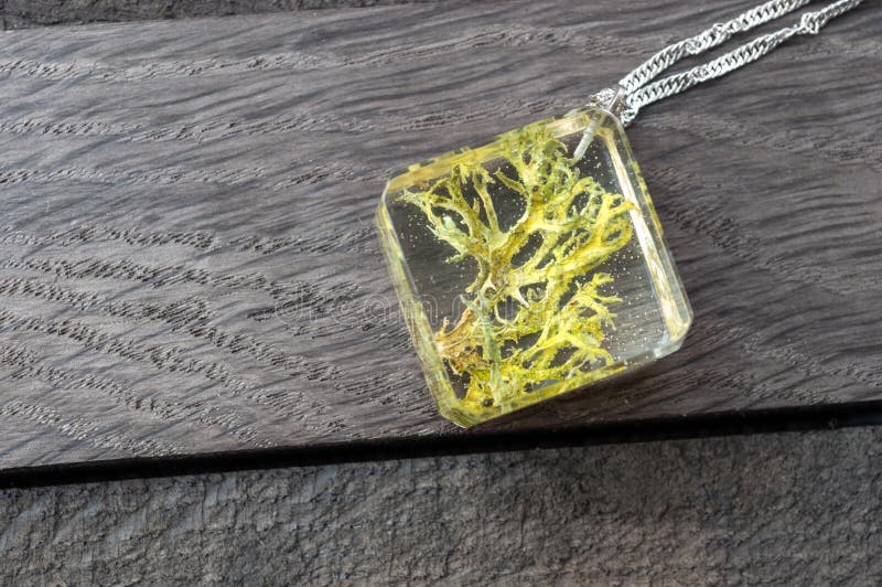 handmade epoxy resin jewelry. Iceland moss in glass. handmade epoxy resin jewelry. Iceland moss in glass