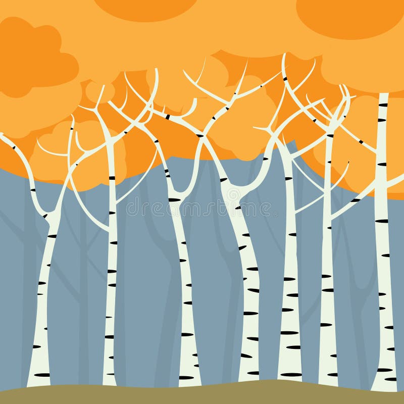 Björkskog stock illustrationer Björkskog stock illustrationer