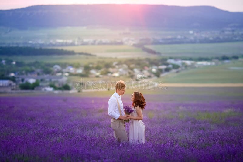 Bl?hendes Feld der Lavendelblumen und zwei B?ume aufw?rts Valensole, Provence, Frankreich, Europa stockfoto Bl?hendes Feld der Lavendelblumen und zwei B?ume aufw?rts Valensole, Provence, Frankreich, Europa stockfoto