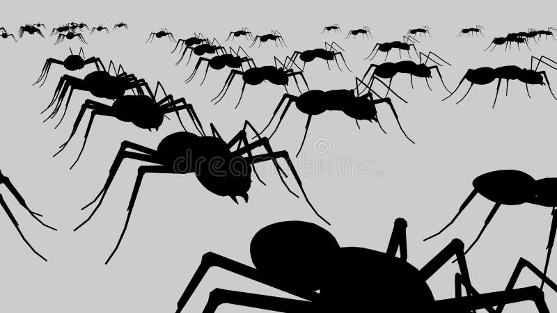 Black ants royalty free illustration