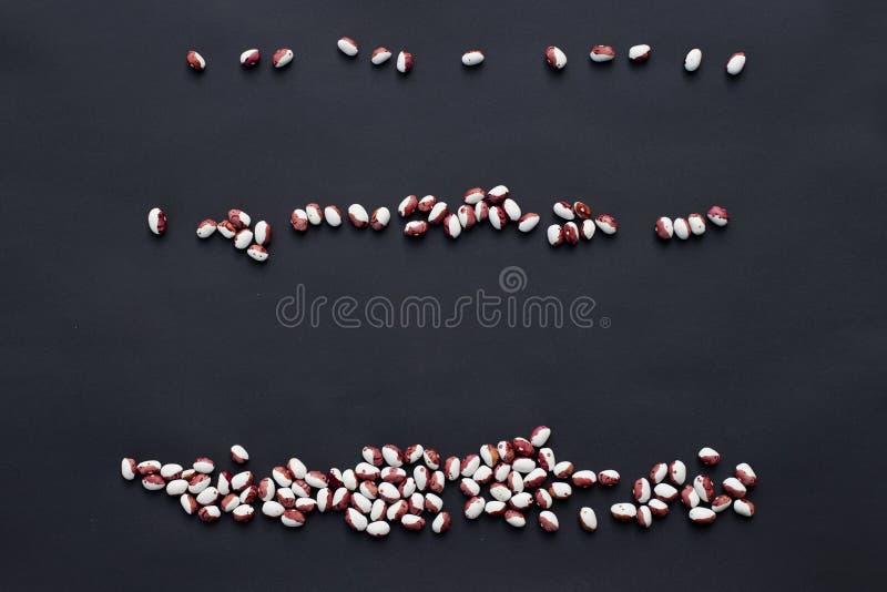 On a Black Background, Legumes are in Three Rows from Smallest To