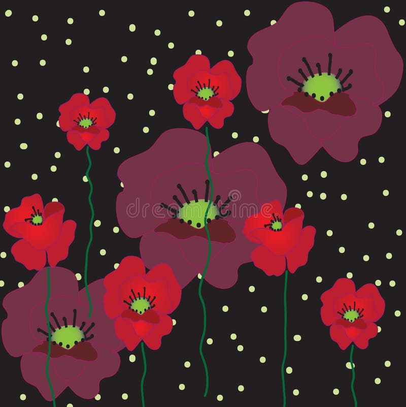 Black Background With Poppies Stock Vector Illustration of poppy