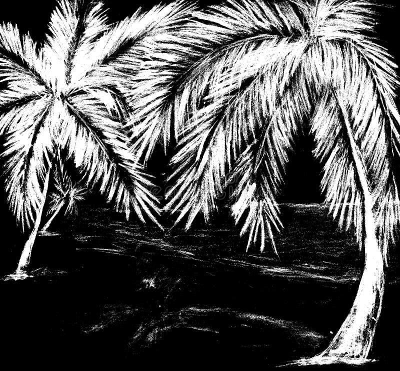 Palm Trees on the Beach - Black Outline on a White Background Stock ...