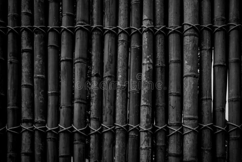 Black Bamboo Wall Texture Background Stock Photo - Image of dirty ...