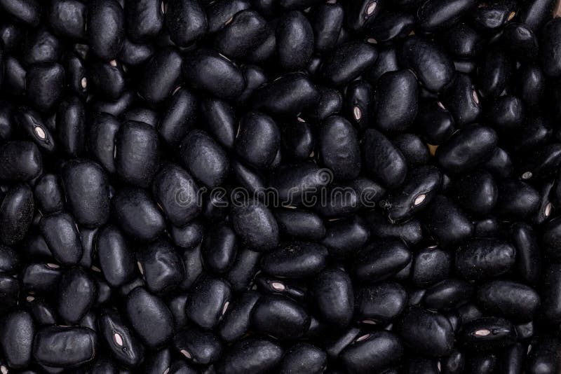 Black bean food stock image. Image of macro, food, ingredient 228542413
