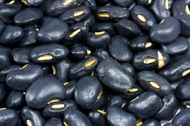 Black bean stock image. Image of material, protein, bean 48226881