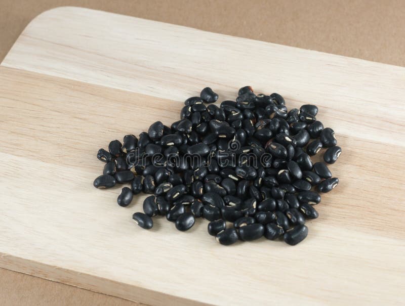 Black bean seed stock photo. Image of food, bean, black 44516520