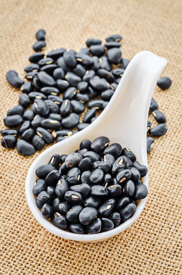 Black Bean Seeds in White Cup. Stock Photo Image of rustic, white
