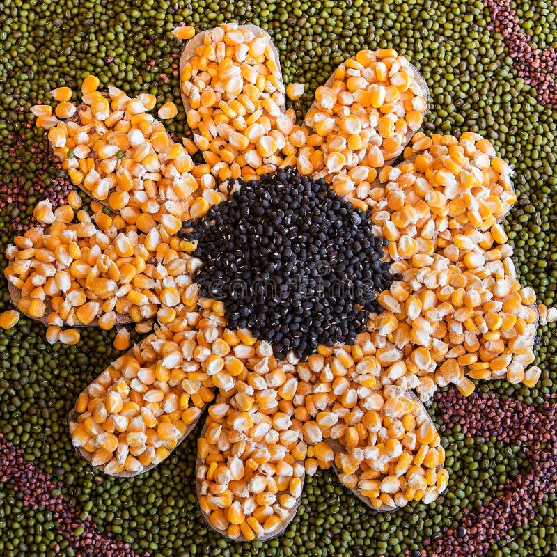 Black Beans, Green Beans, Corn Stock Image Image of bean, design