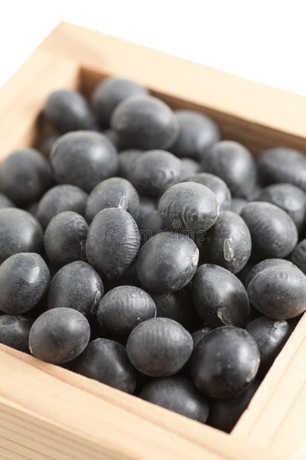 Black Beans in Japanese Sake Cup Called Masu Stock Photo Image of