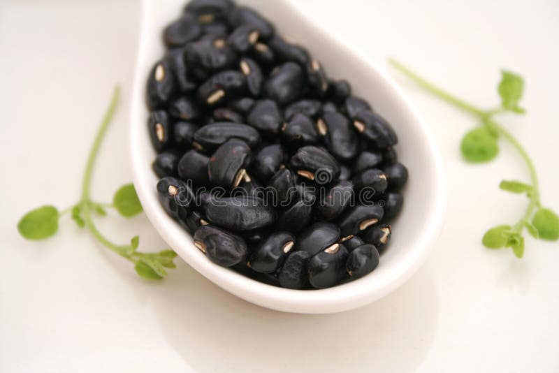 Black beans stock photo. Image of bean, lunch, food, oriental 37193324