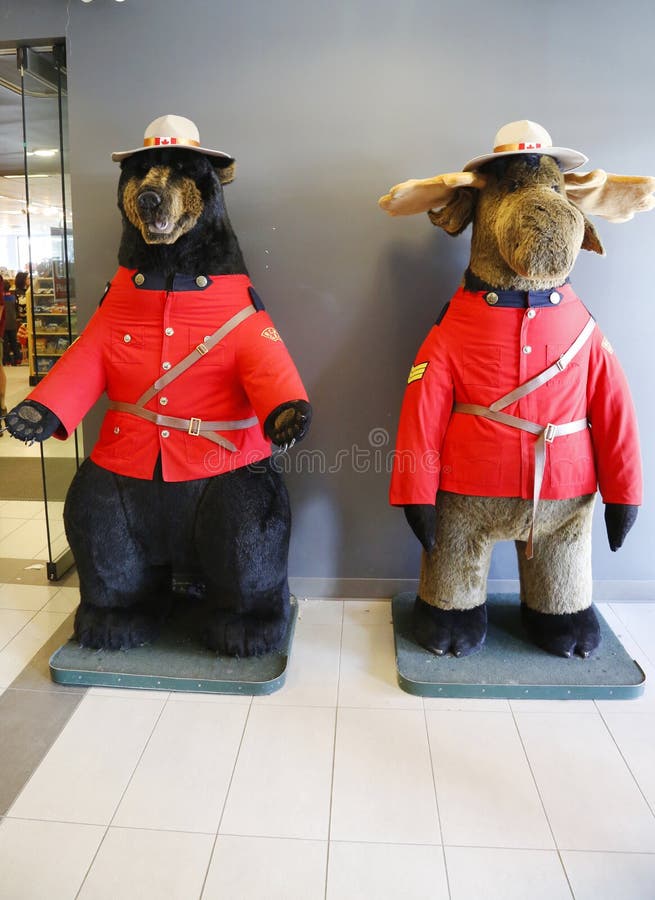 Black Bear And Moose Dressed In Royal Canadian Mounted Police Uniform ...
