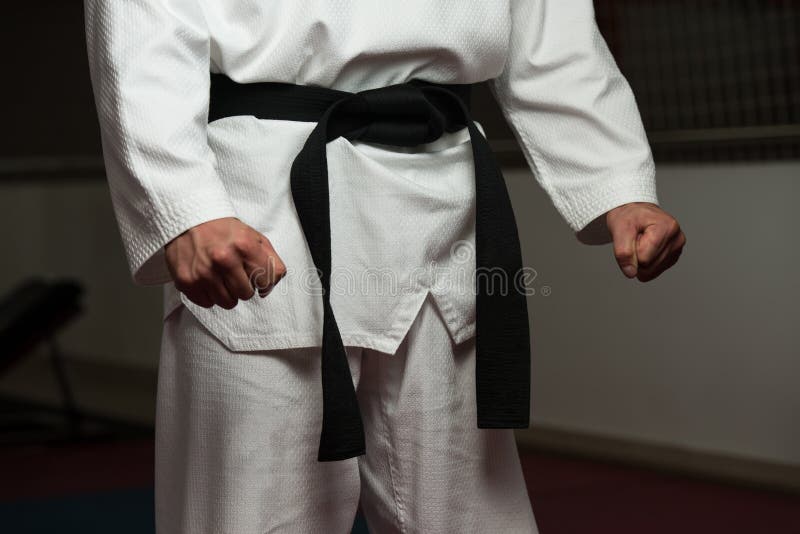 Black Belt Fighter stock photo. Image of sport, person - 40770870