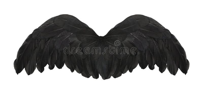 black bird wings costume