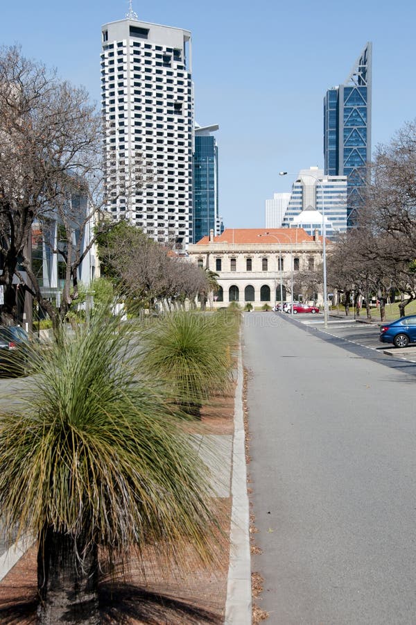Black Boy Plants Perth Australia Stock Image Image of park, woods