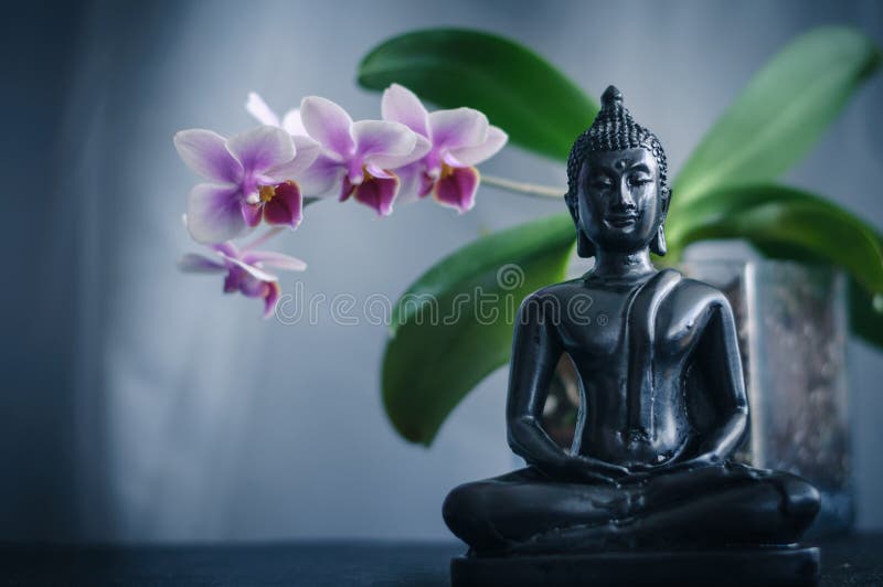 Buddha and Orchid stock image. Image of green, spirituality - 116664283