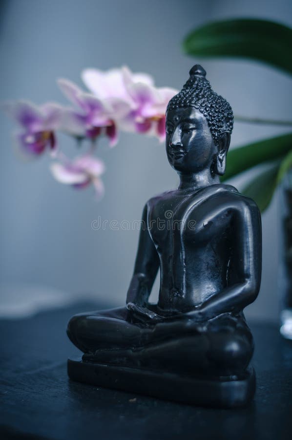 Buddha and Orchid stock photo. Image of orchid, phalaenopsis - 117701694 Buddha and Orchid stock photo. Image of orchid, phalaenopsis - 117701694
