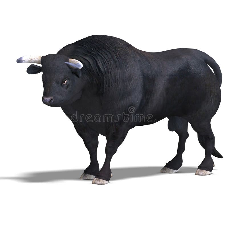 Black bull is ready for the fight