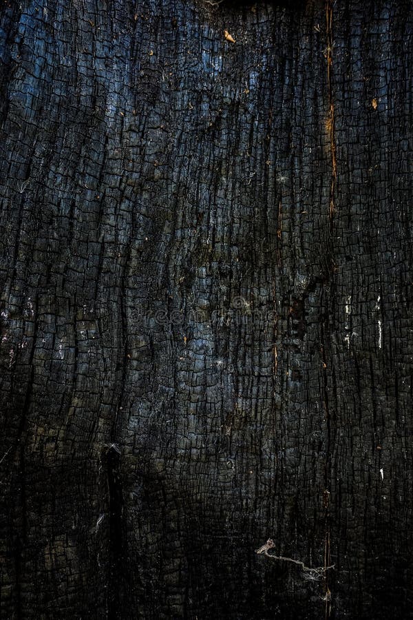 Black Burnt Wooden Surface Background. Dark Ash and Cinder Surface. Stock  Photo - Image of cinder, dark: 100642188